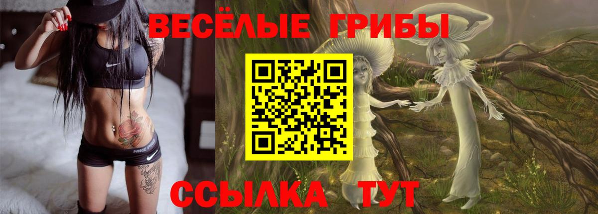 купить наркотик  Галлюциногенные грибы Psilocybe  Вход с VPN  Бийск  Галлюциногенные грибы Cubensis 