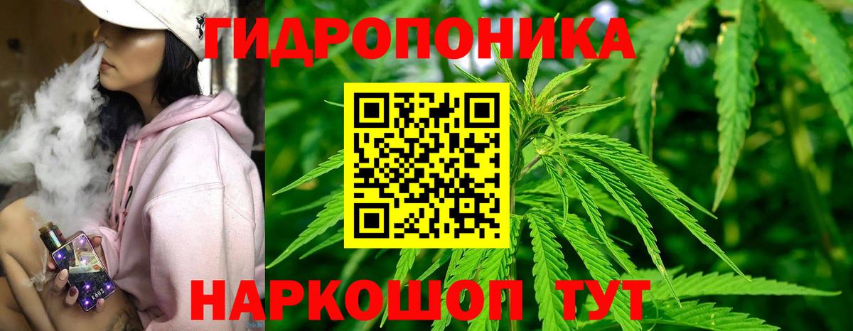 Каннабис семена  Бошки марихуана White Widow  Вход с VPN  Марихуана AK-47  Шишки марихуана тримм  Бийск 